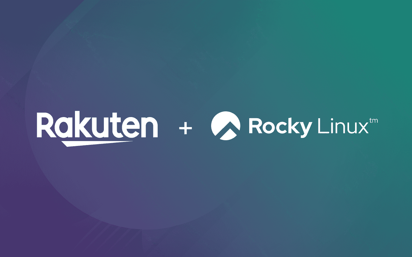 Rakuten Case Study